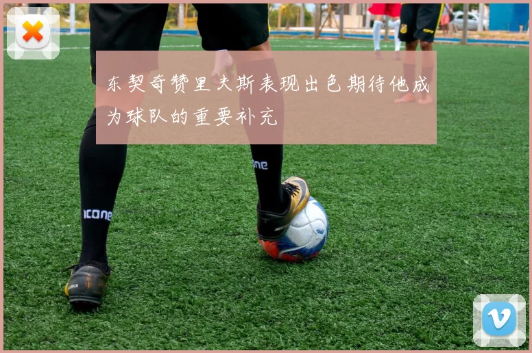 东契奇赞里夫斯表现出色期待他成为球队的重要补充